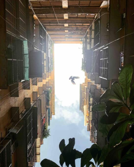 Saigonese Lifestyle - Near Ben Thanh Market Cidade de Ho Chi Minh Exterior foto